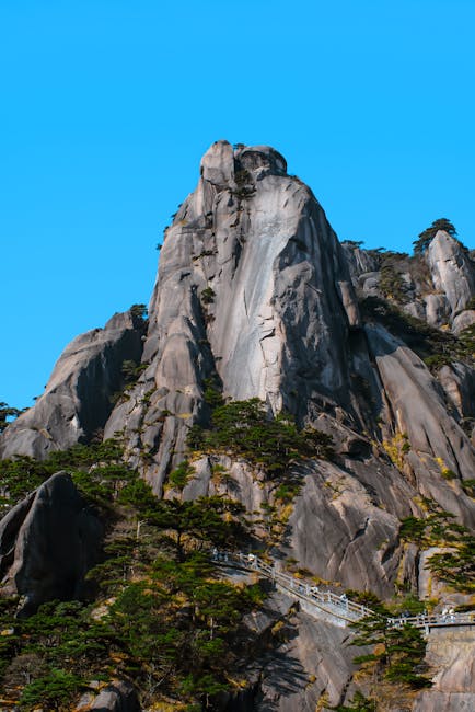 Portret expertă în dezvoltare personală