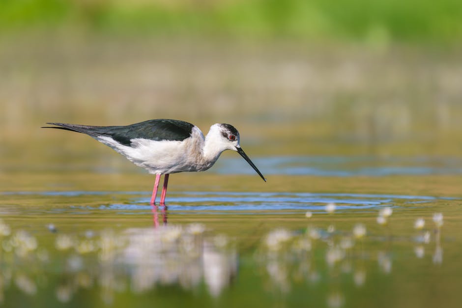 Persoană meditând liniștită în natură, cu cărți și un ceai lângă ea